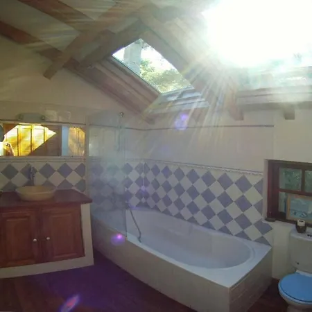 Segura 2 Oletta (Corsica)