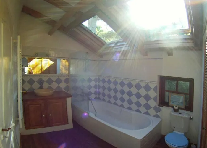 Segura 2 Oletta (Corsica)